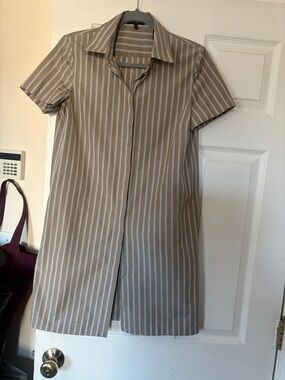Theory Striped Shirt Dress in Beige and Light Blue